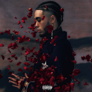 黄电影免费高清观看
