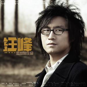 黄电影免费高清观看
