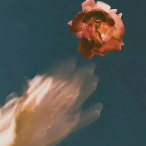 黄电影免费高清观看
