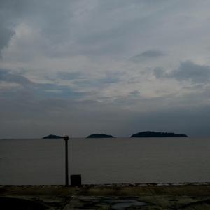 黄电影免费高清观看
