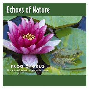 黄电影免费高清观看
