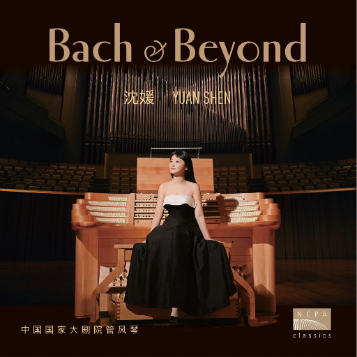 黄电影免费高清观看
