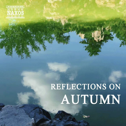 黄电影免费高清观看
