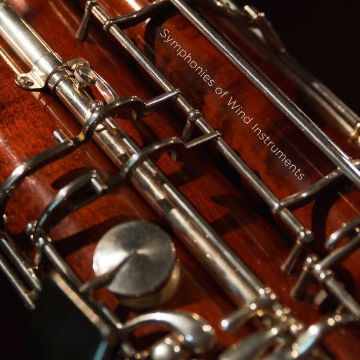 黄电影免费高清观看
